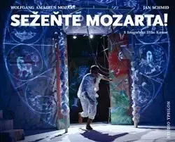 Divadlo - teória, história,... Sežeňte Mozarta! - Jiří Kottas,Jan Schmid