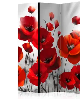 Paravány Paraván Poppies in the Moonlight Dekorhome