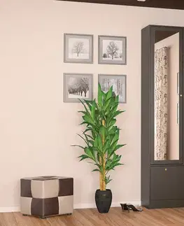 Predsieňové zostavy PRESTO dizajnová predsieň wenge, tmavá