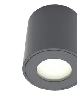 Svietidlá  Vonkajšie bodové svietidlo FARA 1xGU10/30W/230V IP54 čierne SKU047068