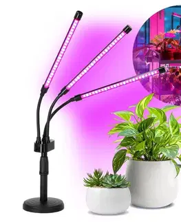 Lampy BRILAGI - LED Stmievateľná lampa na pestovanie rastlín VITABLOOM 3xLED/10W/230V 004071