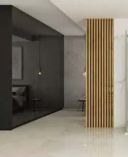 Sprchovacie kúty REA/S - Sprchová kabína Hugo 80x90 Gold Brush Dvere: 80 Stena: 90 KPL-K8412