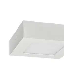 Svietidlá Greenlux LED Stropné svietidlo FENIX LED/6W/230V 2800K 12 cm 