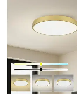 Svietidlá BRILAGI - stmievateľné LED svietidlo POOL SMART LED/100W/230V 80 cm zlaté Wi-Fi Tuya+DO BRI565