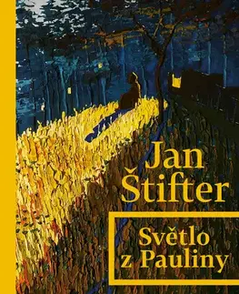 Novely, poviedky, antológie Světlo z Pauliny - Jan Štifter
