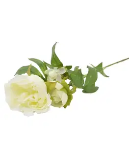 Záhradné dekorácie Peonia 59cm krémová A2010571