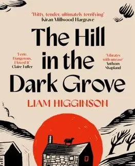 Detektívky, trilery, horory The Hill in the Dark Grove - Liam Higginson