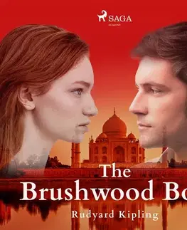 Svetová beletria Saga Egmont The Brushwood Boy (EN)