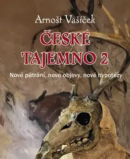 Mystika, proroctvá, záhady, zaujímavosti České tajemno 2 - Arnošt Vašíček