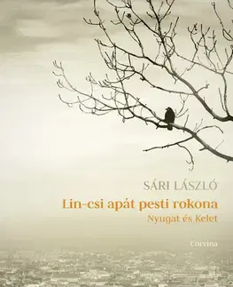 Svetová beletria Lin - László Sári