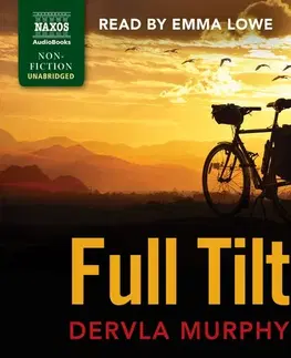 História Naxos Audiobooks Full Tilt (EN)