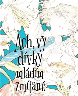 Manga Ach, vy dívky mládím zmítané 2 - Mari Okada,Nao Emoto,Jakub Jezdinský