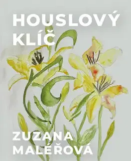 Česká beletria Houslový klíč (Rozhlasová probouzení) - Zuzana Maléřová