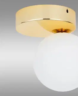 Moderné lampy do obývačky Stropné svietidlo Bianca Gold 4695 LS1