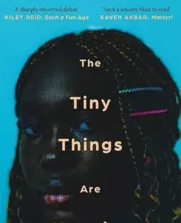 Svetová beletria The Tiny Things Are Heavier - Esther Ifesinachi Okonkwo