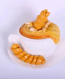 Magnetky MAKRO - Magnetka 6x6cm