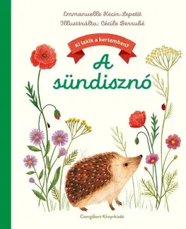 Rozprávky A sündisznó - Emmanuelle Kecir-Lepetit