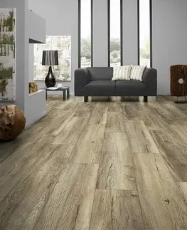 Purus plus EUROWOOD Purus plus Dub dachstein 45363/0002 4747