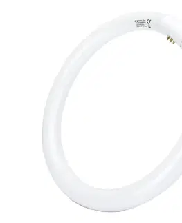 Svietidlá  B.V. Žiarivková trubica T9 G10q/32W/230V 6500K -  B10104JVG