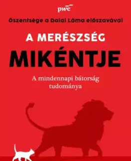 Rozvoj osobnosti A merészség mikéntje - Ranjay Gulati