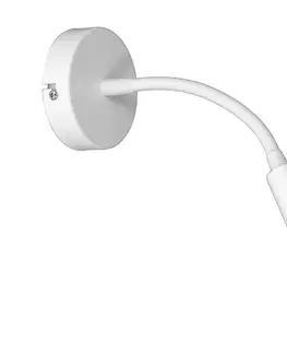 Svietidlá  Flexibilná lampička ARDEN 1xG9/8W/230V biela 3421
