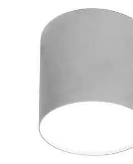 Svietidlá  LED Stropné svietidlo 1xGU10/35W/230V 6527