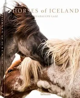 Kone Horses of Iceland - Guadalupe Luiz