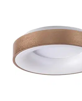 Svietidlá Rabalux 5053 - LED Stropné svietidlo CARMELA LED/50W/230V 5053