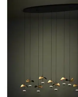 Svietidlá Eglo 390342 - LED Stmievateľný luster na lanku DRACERA 10xLED/2,3W/230V 3000K 390342