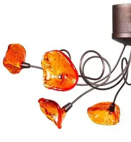 Stropná svetla Hnedá stropná lampa 8xG4 Malta