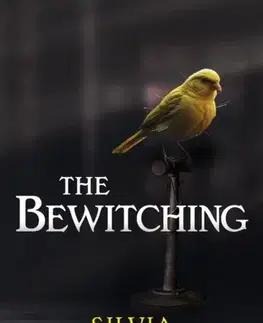 Detektívky, trilery, horory The Bewitching - Silvia Moreno-Garcia