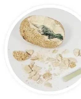 Dinosaury a archeológia Buki Dinosaurie vajce