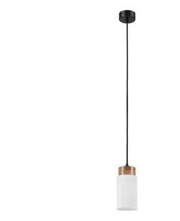 Svietidlá  Závesné svietidlo na lanku MARKUS 1xE27/15W/230V čierna/dub LM-1.260/CZARNY