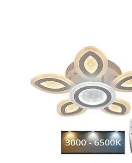 Svietidlá  LED Stmievateľný prisadený luster LED/95W/230V 3000-6500K + diaľkové ovládanie J3311/W