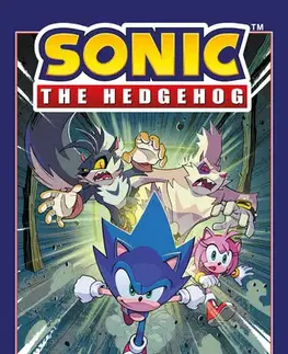 Pre deti a mládež - ostatné Ježek Sonic 4 - Nákaza - Ian Flynn