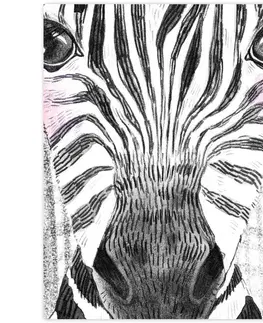 Obrazy do detskej izby Dekorácie do detskej izby - Obraz zebra
