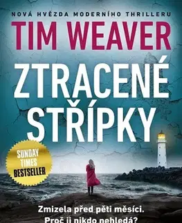 Detektívky, trilery, horory Ztracené střípky - Tim Weaver