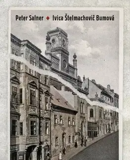 Slovenské a české dejiny Politika a komunita - Peter Salner,Ivica Štelmachovič Bumová