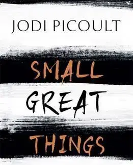 Cudzojazyčná literatúra Small Great Things - Jodi Picoult