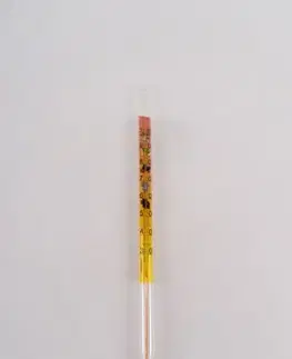 Kuchynské teplomery Teplomer zavárací krátky 33 cm farebný WW