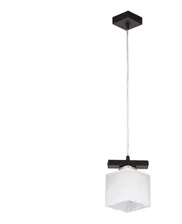 Svietidlá Jupiter 1096 - PO1 - Závesný luster POLA 1xE27/60W/230V wenge 1096