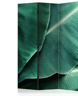 Paravány Paraván Banana Leaf Dekorhome