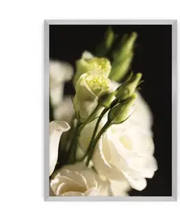Obrazy Plagát Dark Flowers I