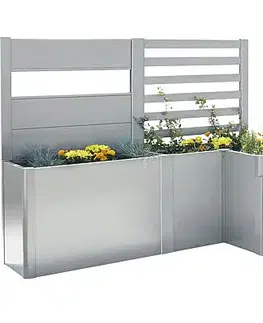 Truhlíky Biohort Vyvýšený záhon BIOHORT Davinci 2 - 249 x 200 x 168 cm (strieborná metalíza)