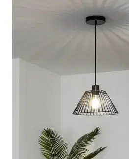 Svietidlá BRILAGI - LED luster na lanku CERIA WIRE 1xE27/40W/230V priemer 30 cm čierna BG3987+EG300163