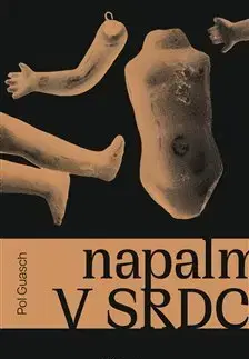 Svetová beletria Napalm v srdci - Pol Guasch,Vít Groesl