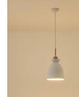 Svietidlá Eurolamp Luster na lanku 1xE27/15W/230V biela pr. 19,5 cm 144-24137