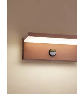 LED osvetlenie BRILAGI-LED Vonkajšie nástenné svietidlo so senzorom TESSI LED/10W/230V hnedé IP54 BRI553