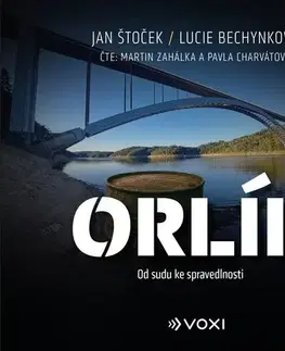 Fejtóny, rozhovory, reportáže Voxi Orlík (audiokniha na CD)