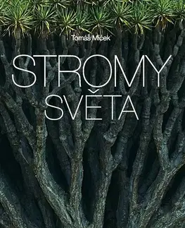 Fotografia Stromy světa - Tomáš Míček
